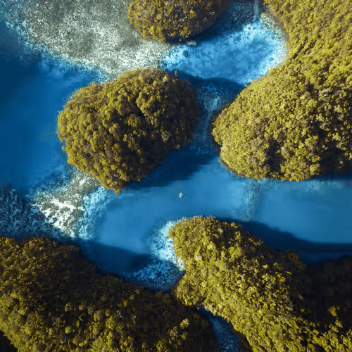 #15: Lagoon Haven