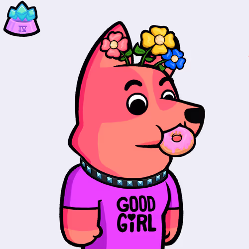Dog #5428
