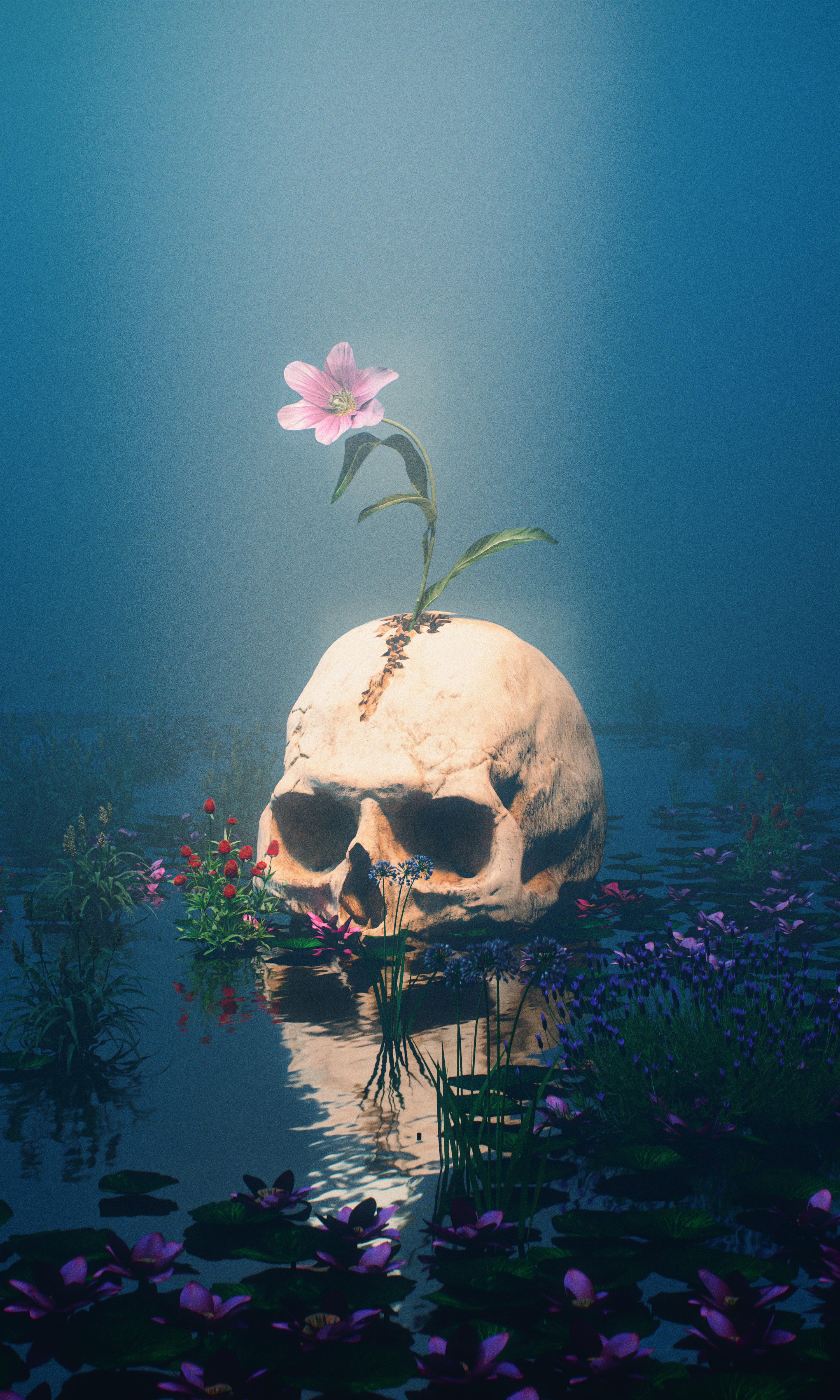 Where Death Rests