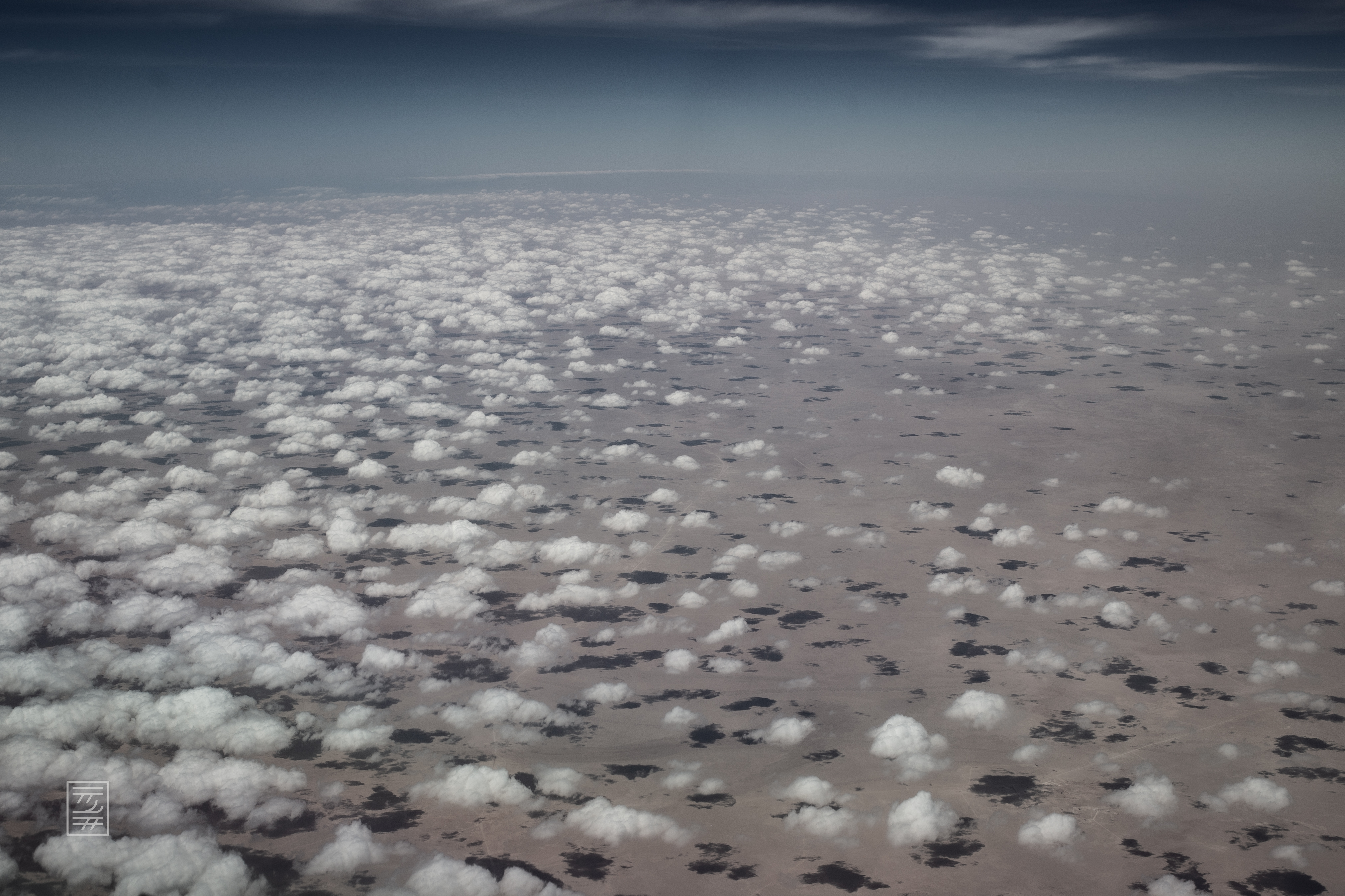Voyages #319