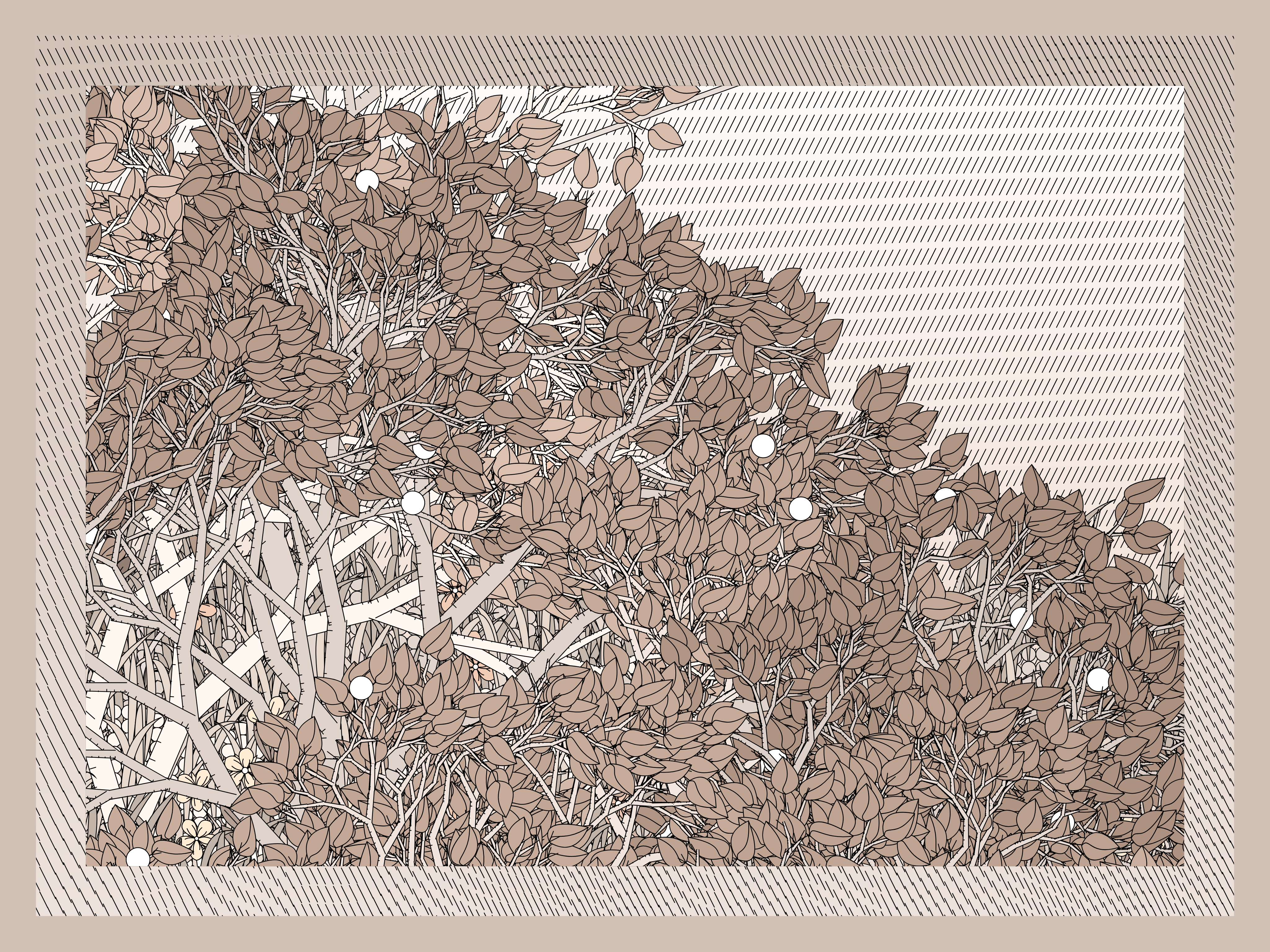 Entangled #509