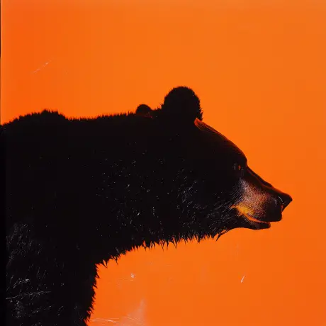 bear #103