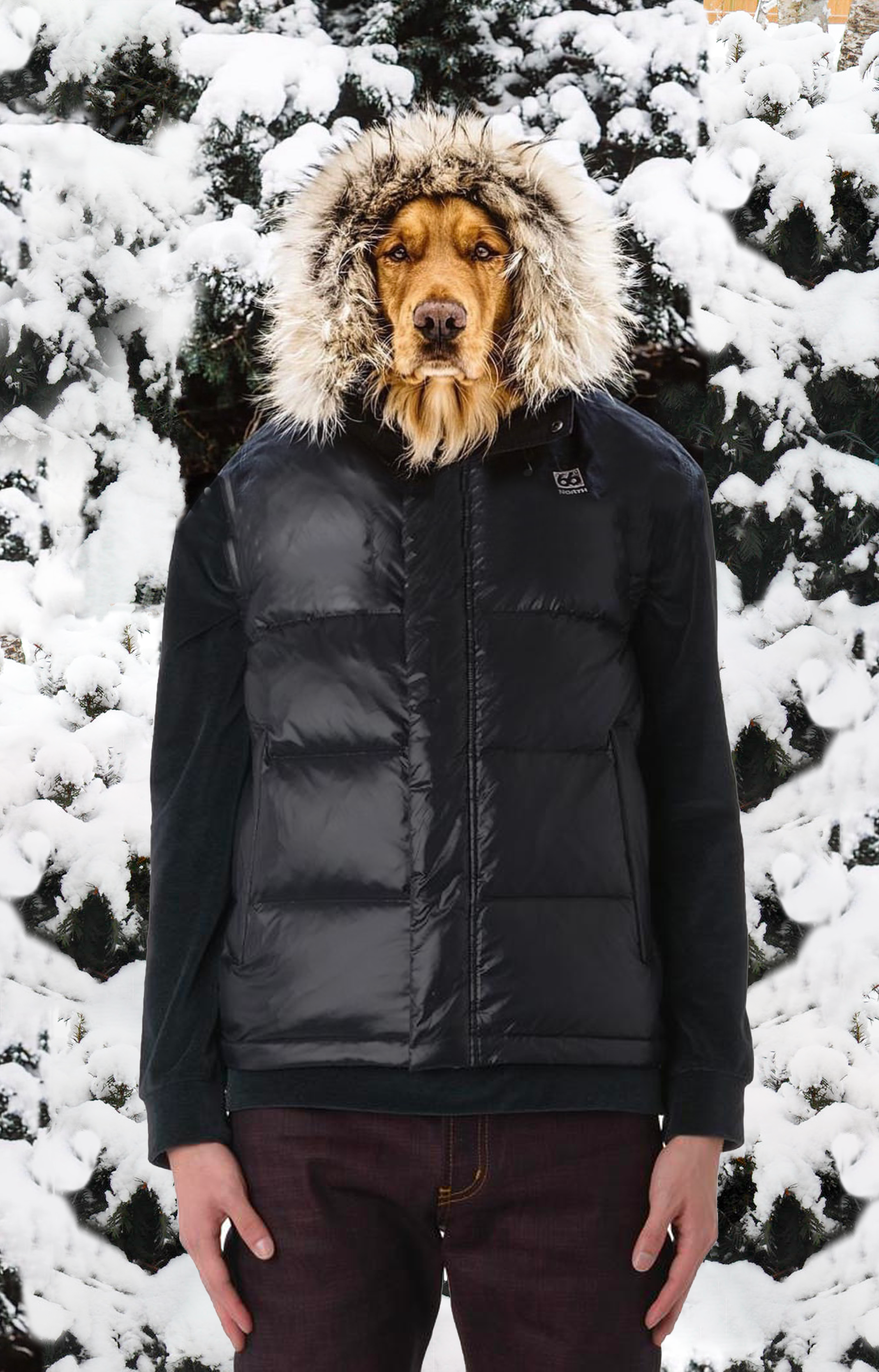 Snow Sassin'