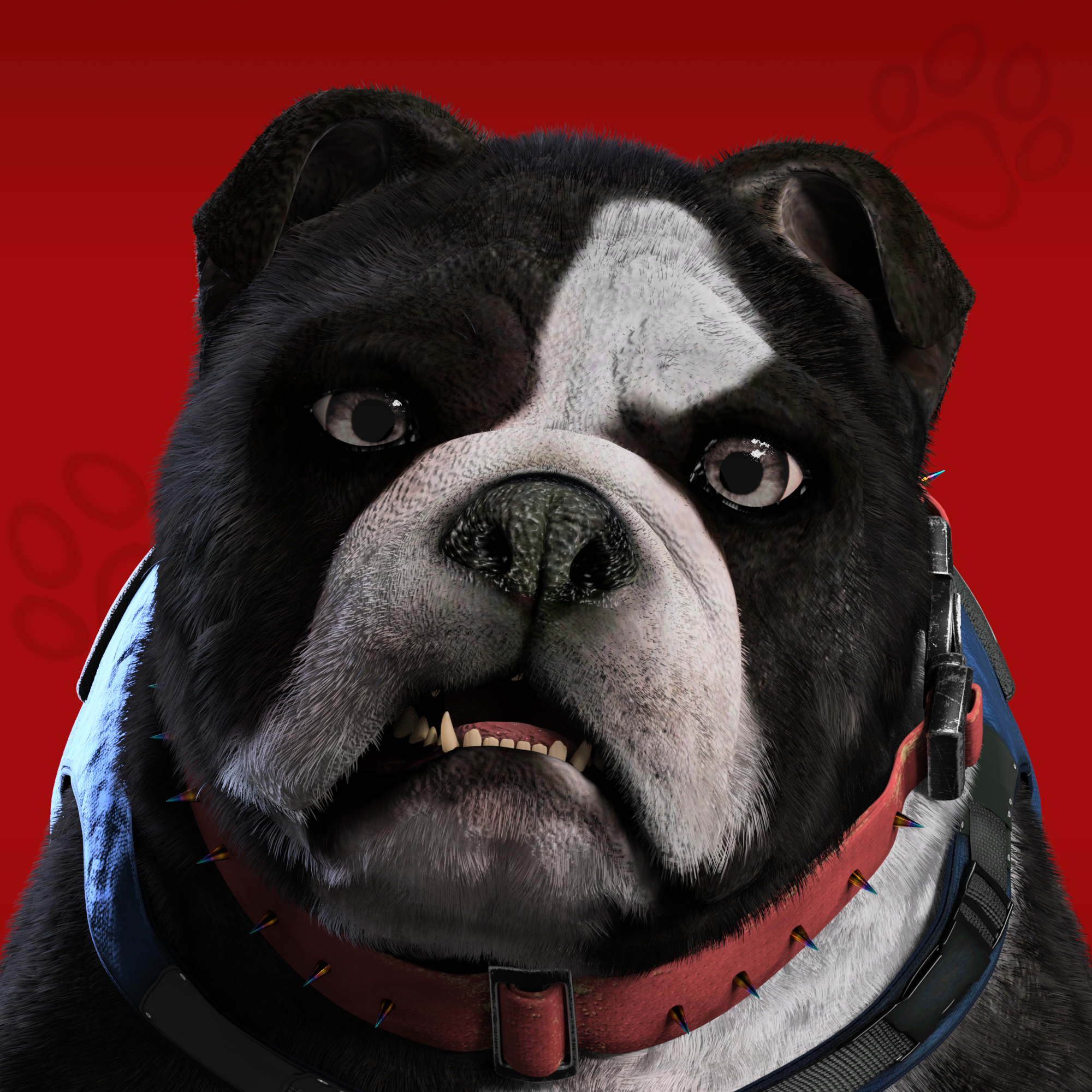 NFPet #29