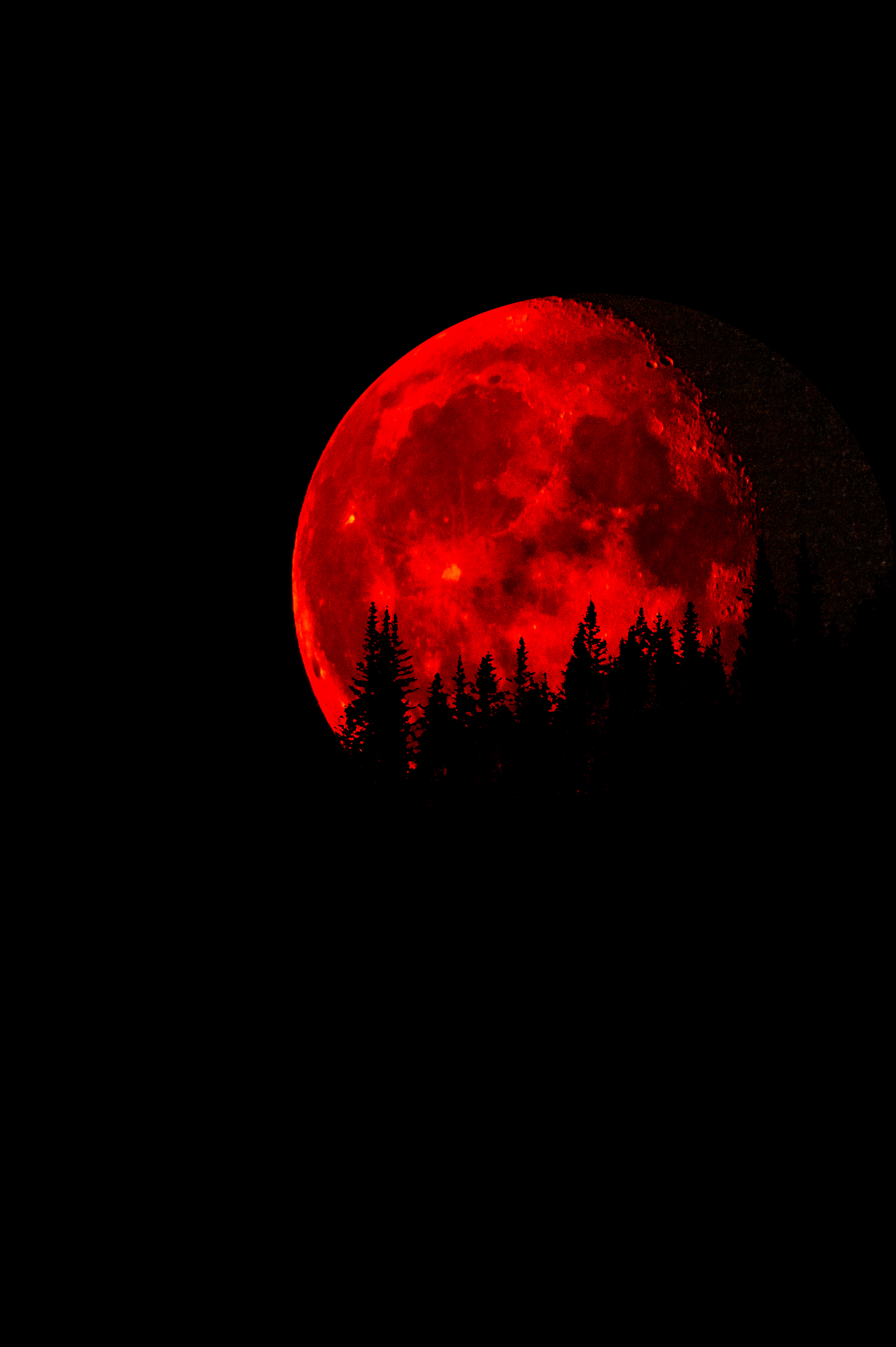Blood Moon