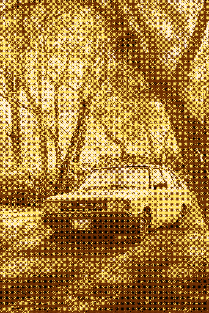 Abandonado