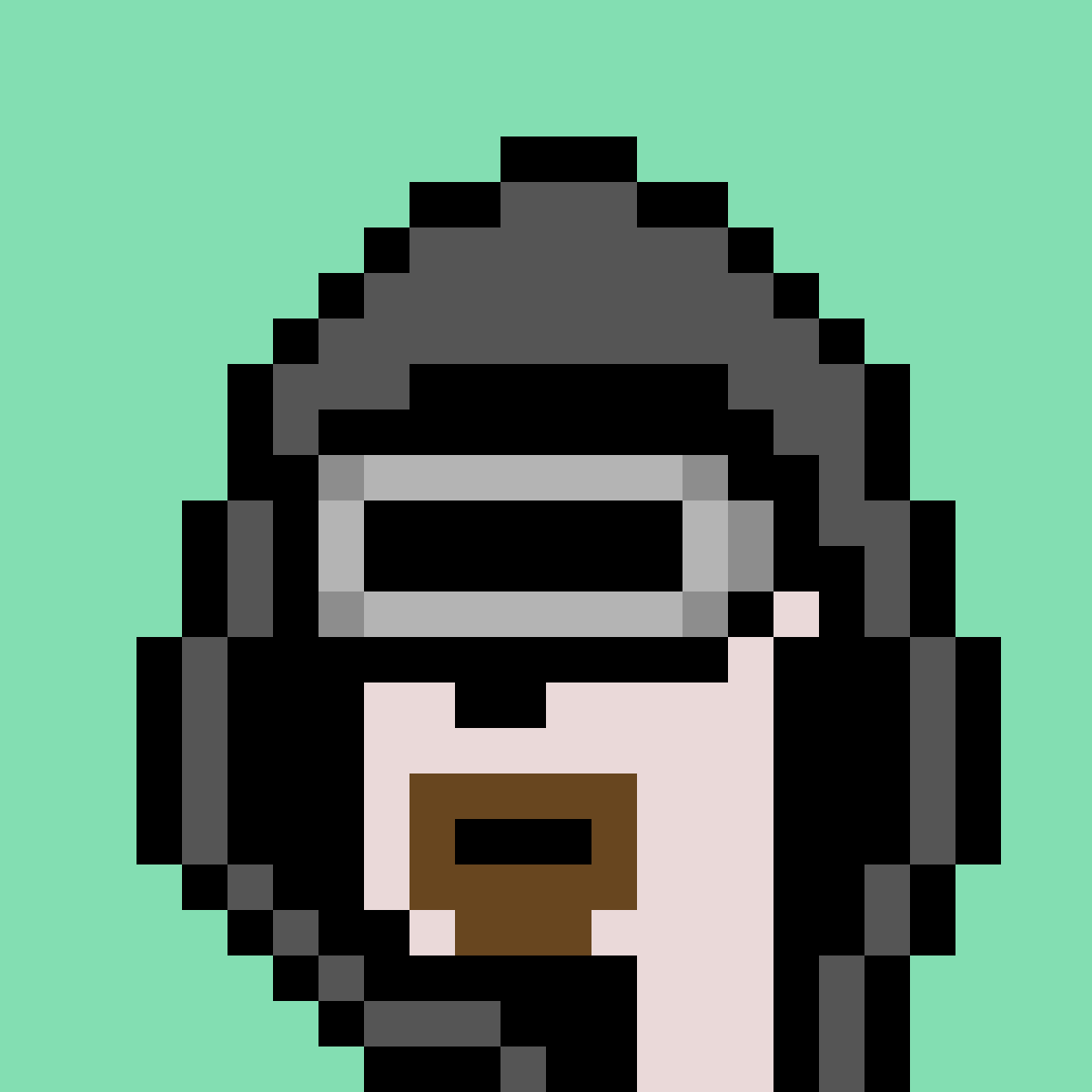 V3 Phunk #6940
