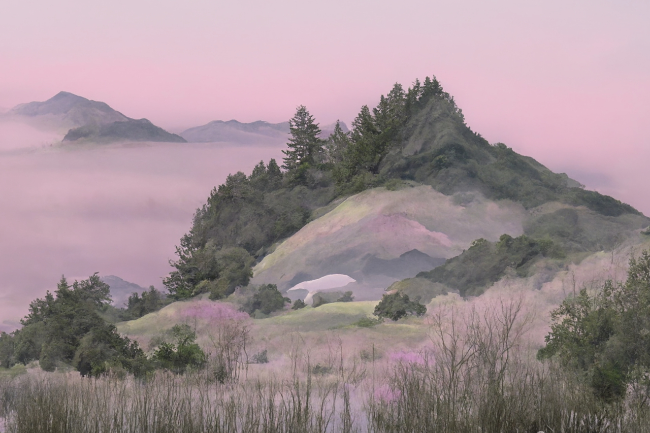 Mount Tamalpais