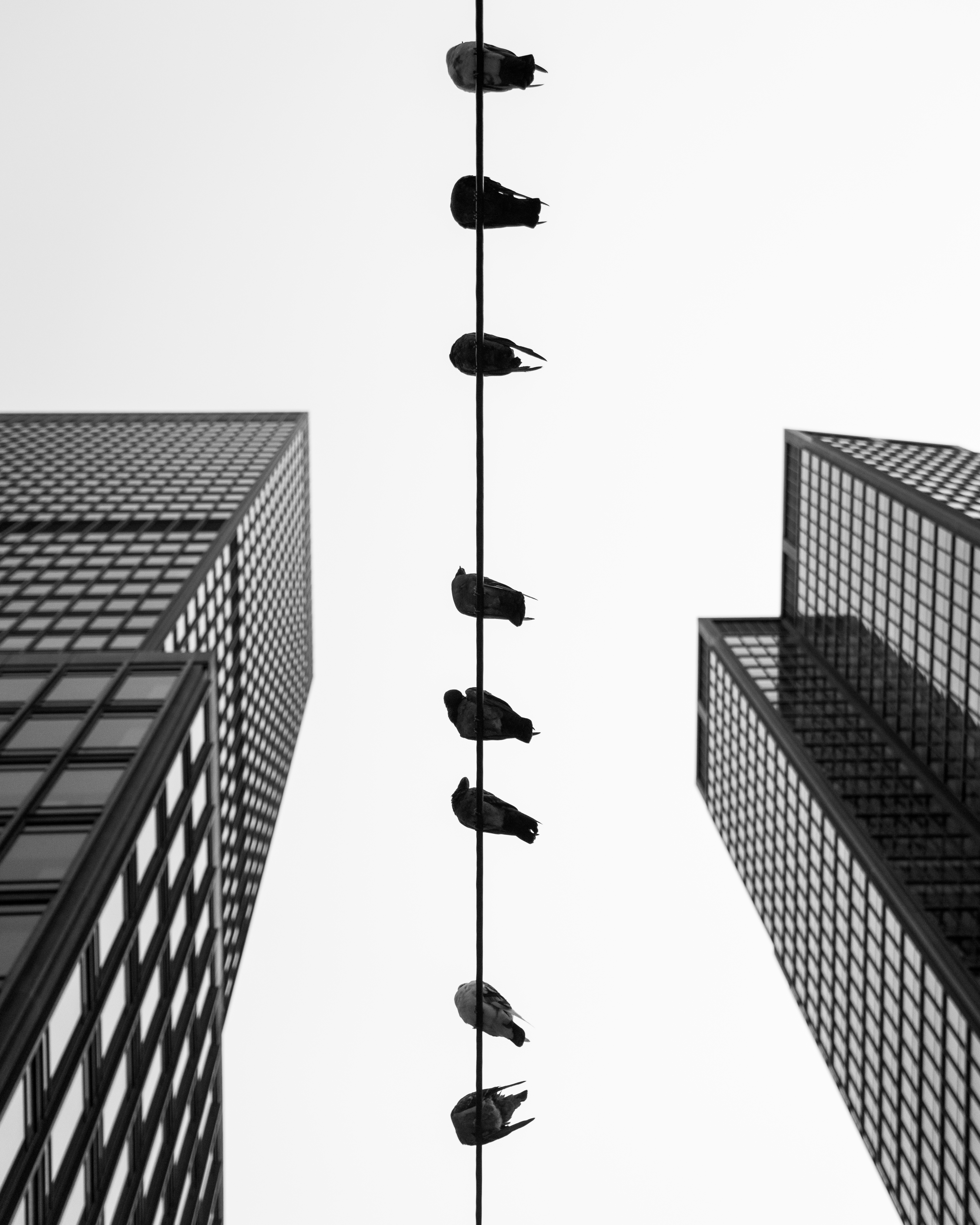 On the Wire  #7/20