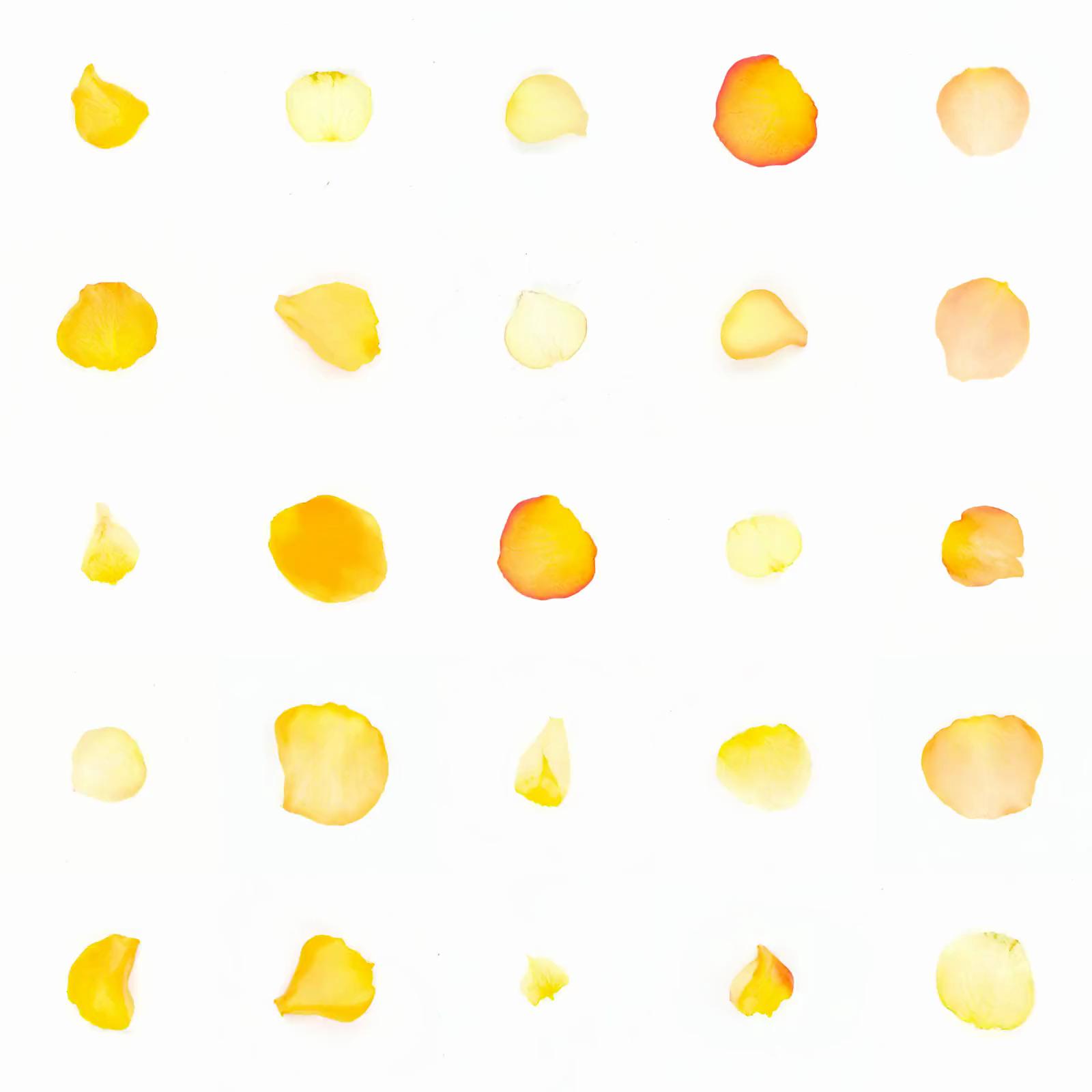 Infinite Petals 5x5#1396