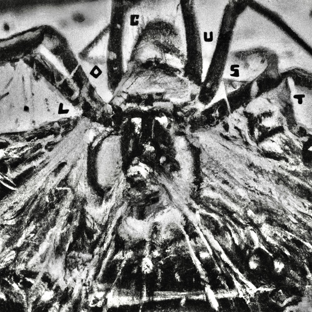 LOCUST #37