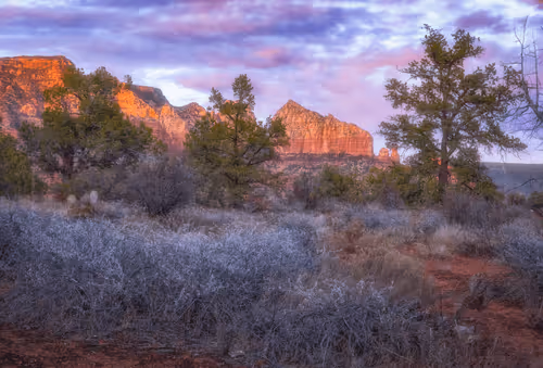 Sage Morning