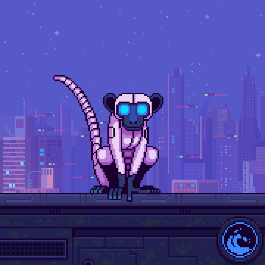 Animonkey #1140