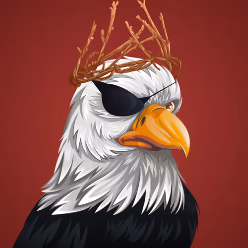 #216 Bald Eagle