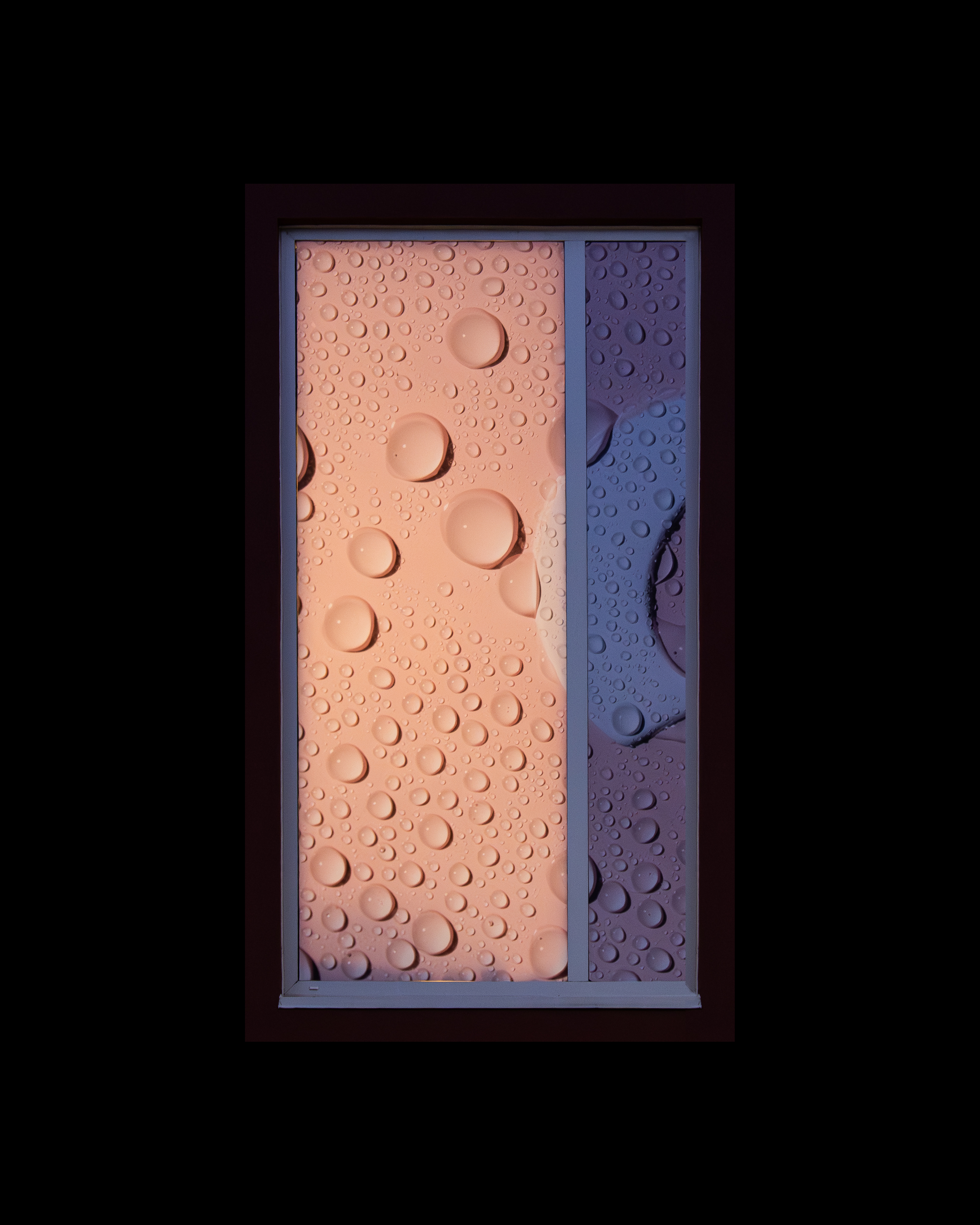 WINDOW 17