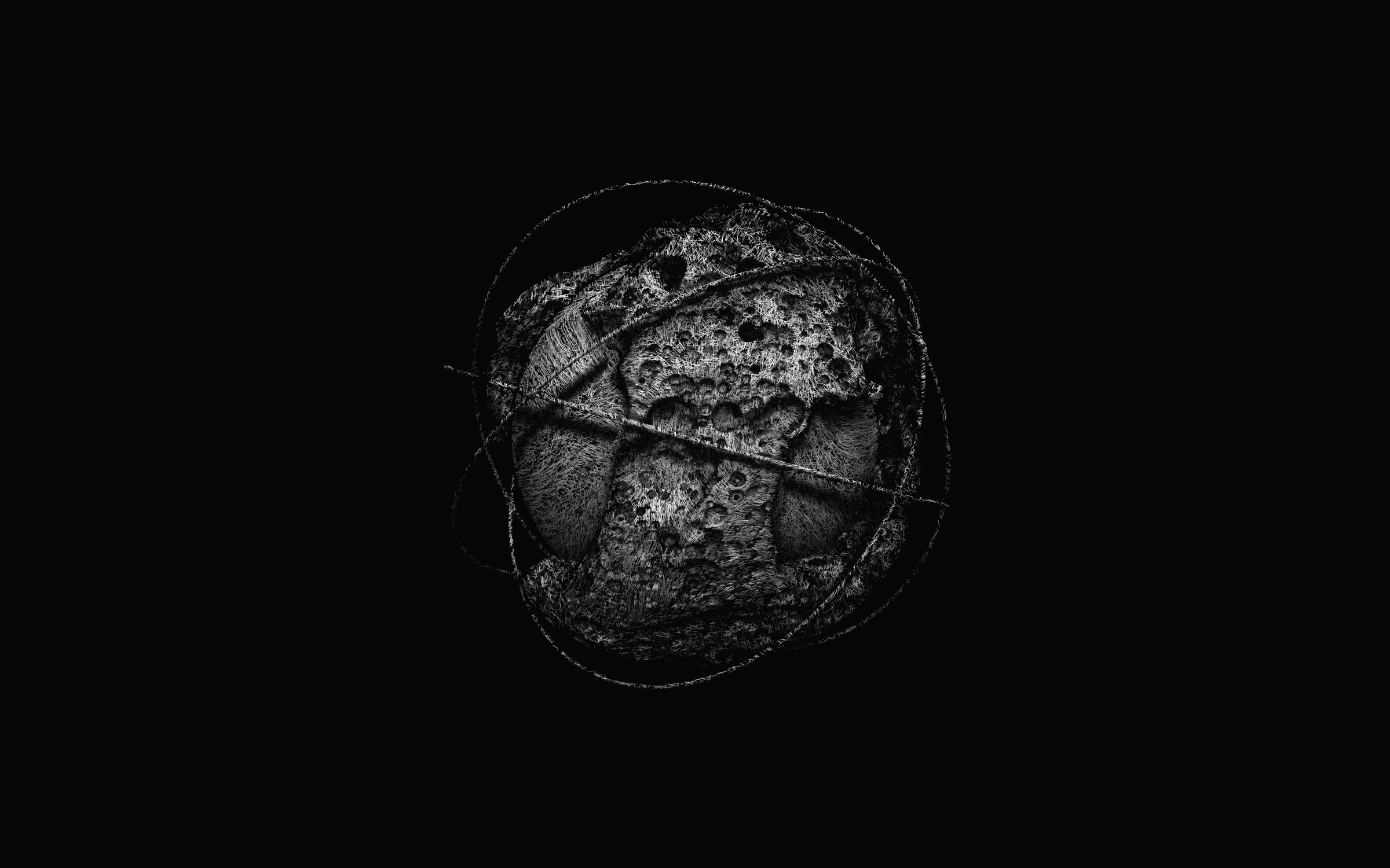 Cosmodesias #233