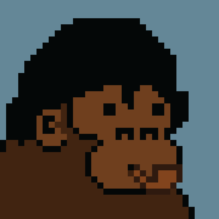 Kong Punk #06923