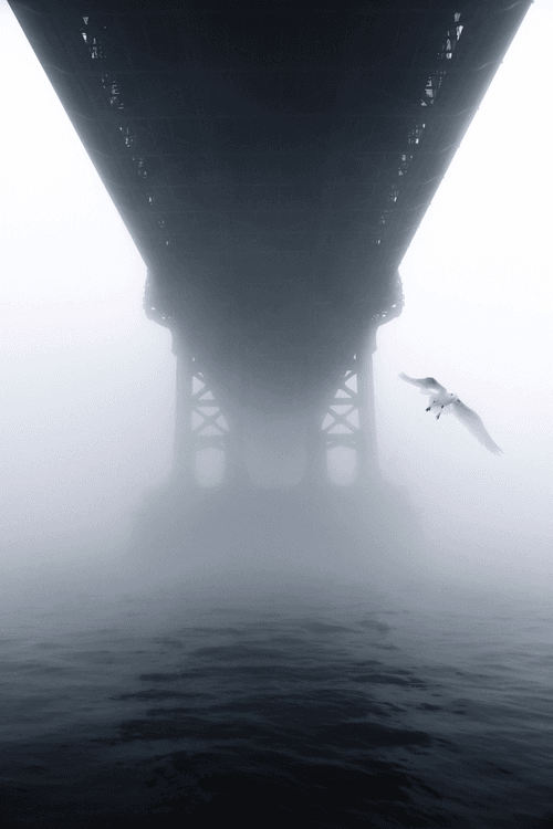 Fog season #013