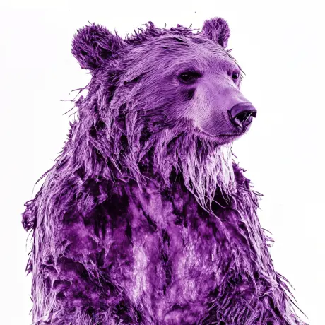 bear #1974