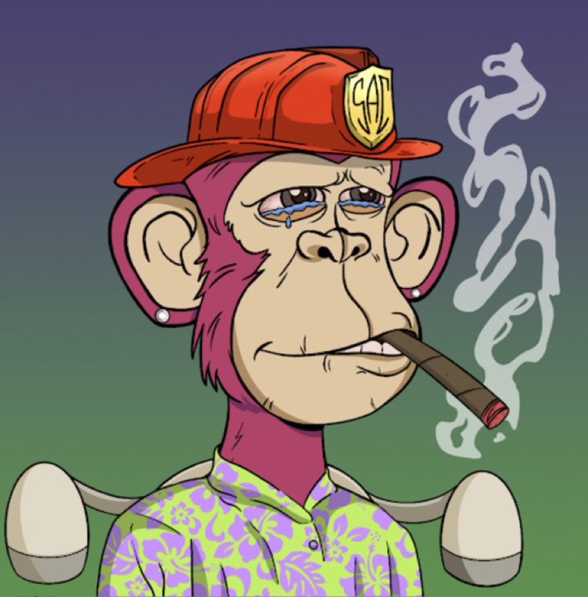 apes