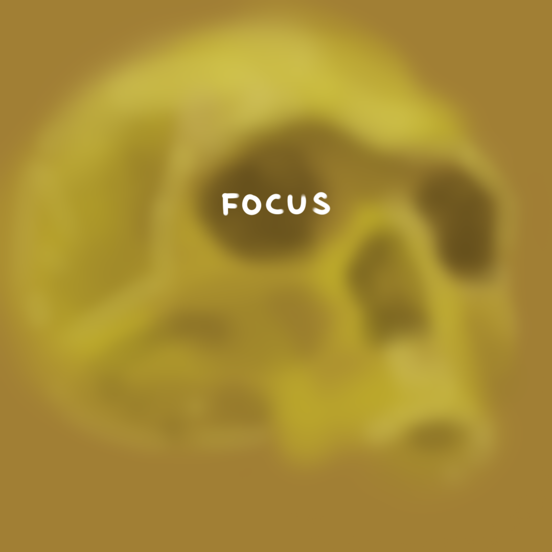 Focus