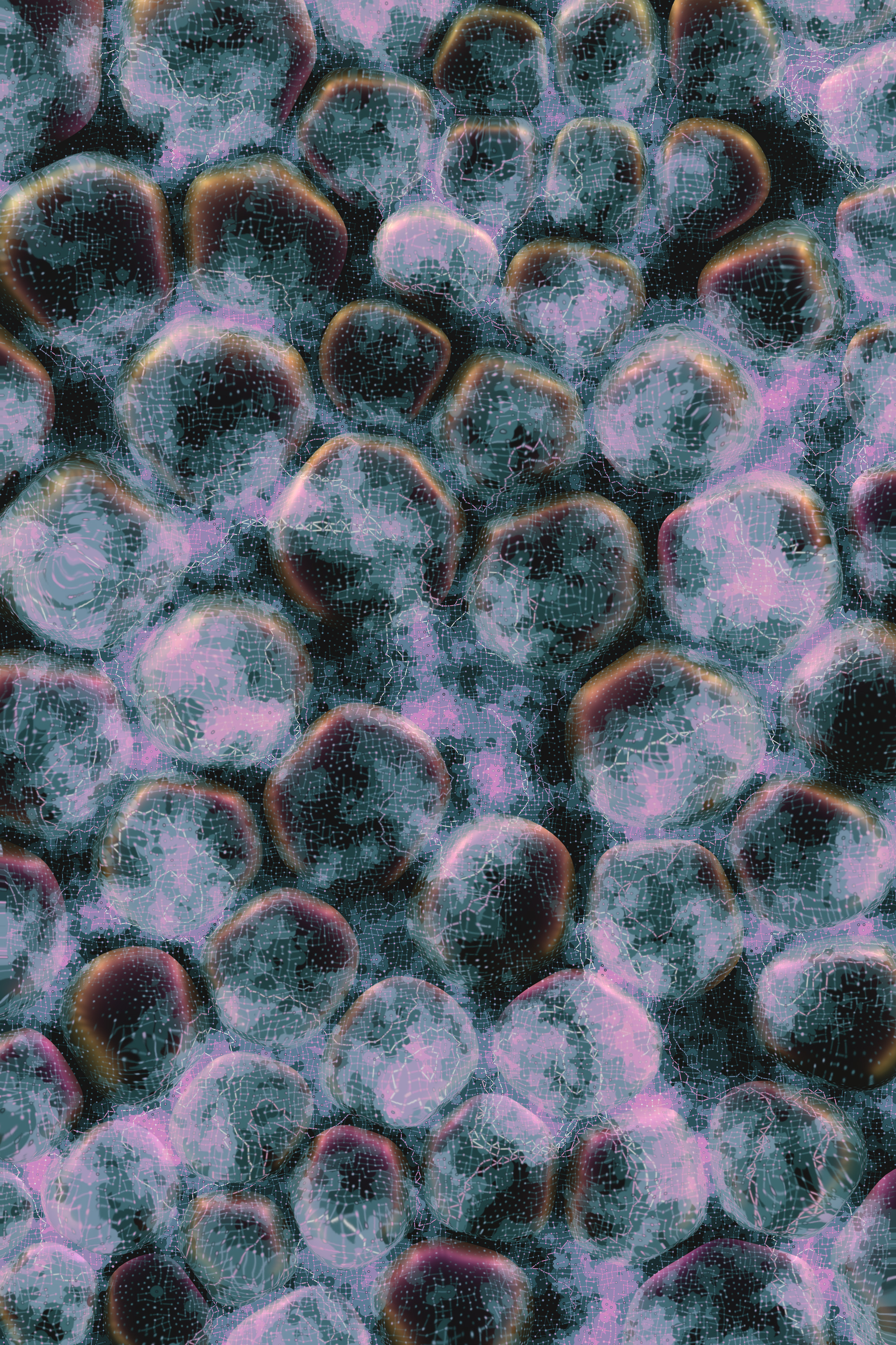 Vitreous #27