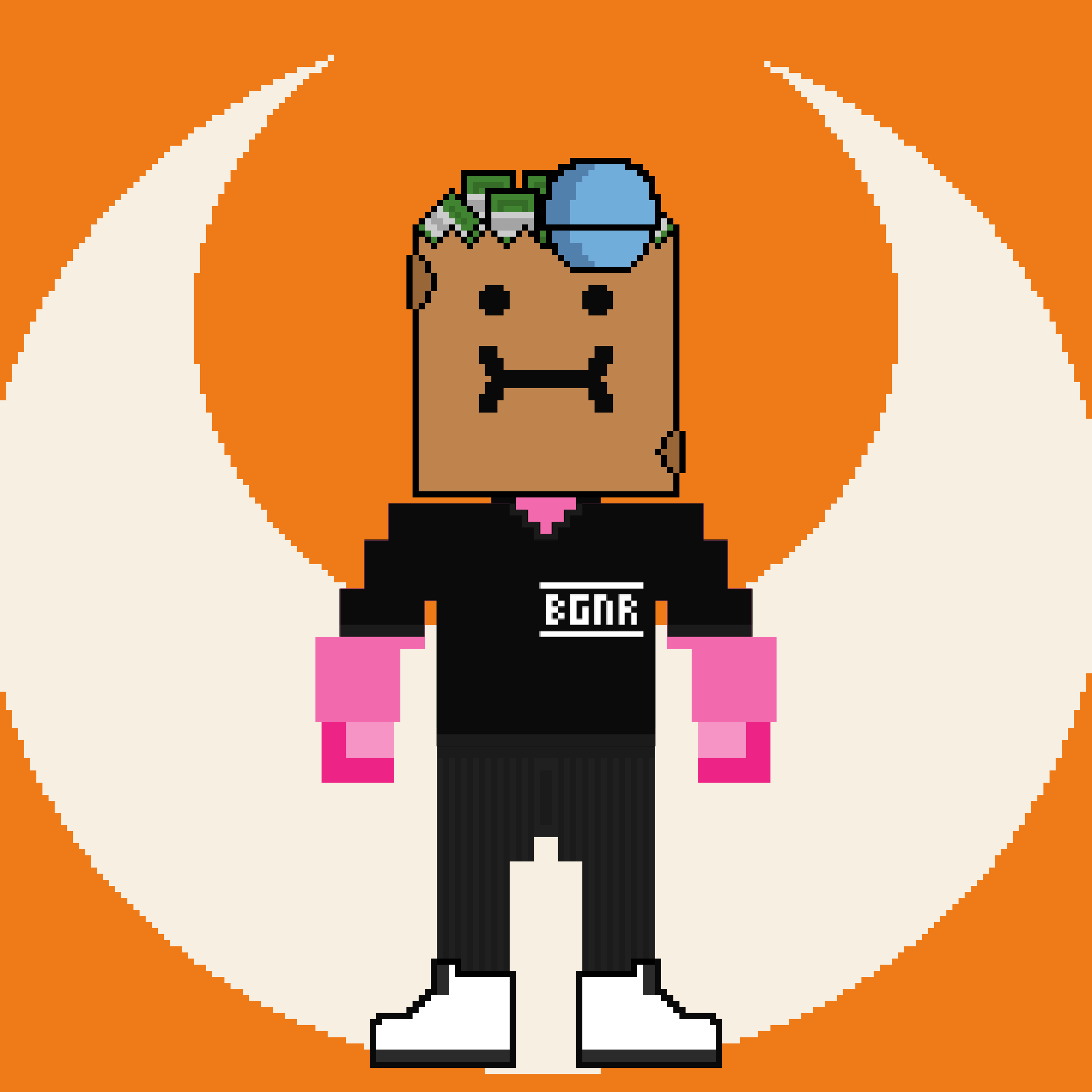 PXLBAGNER #3234