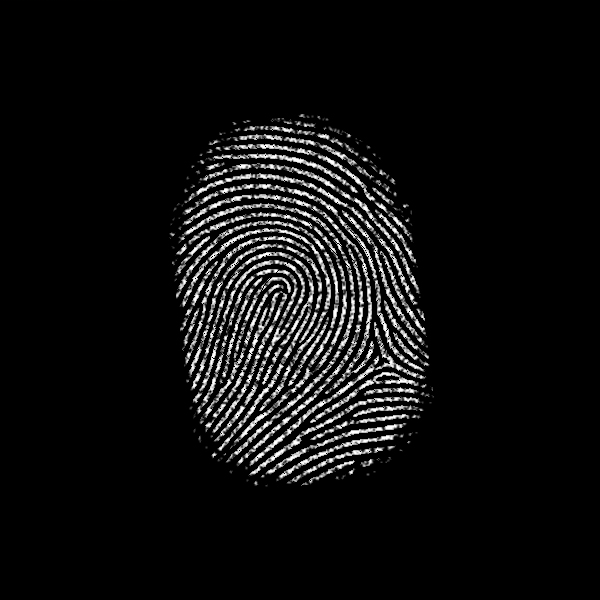 Subject 376