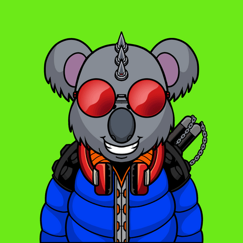 Koala #3736