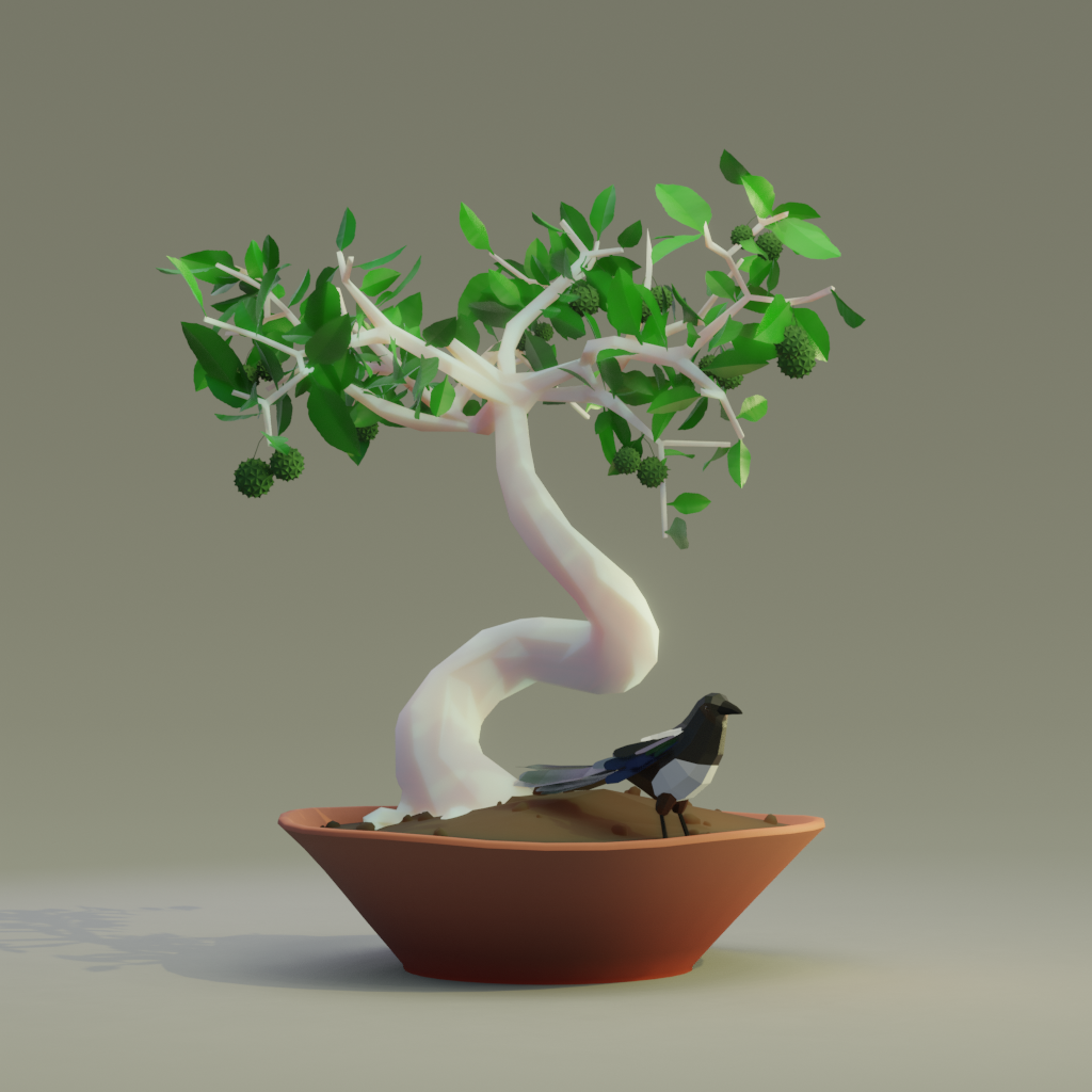 Bonsai #2374