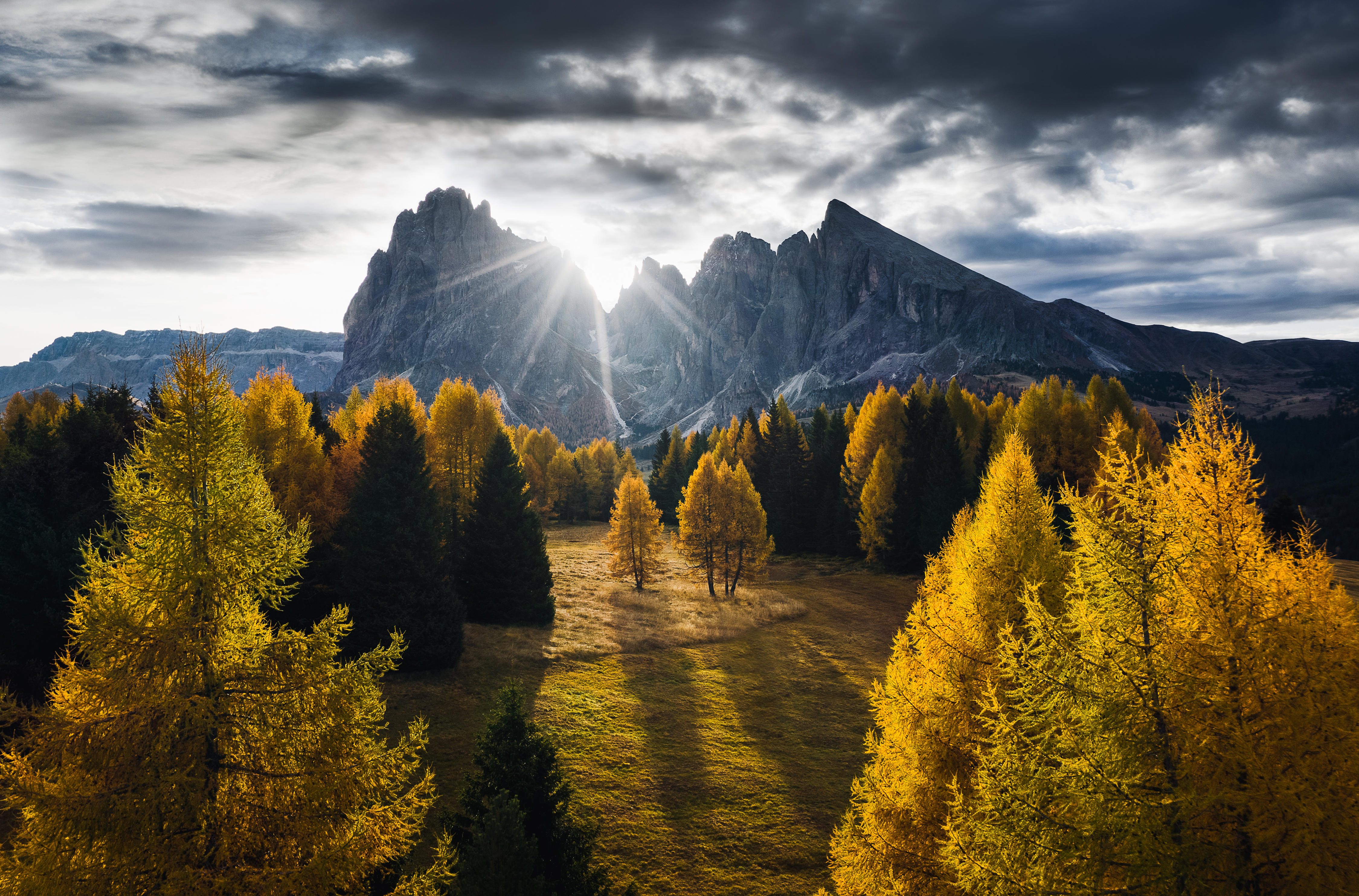 Wilderness to Blockchain #73 - Chasing fall 