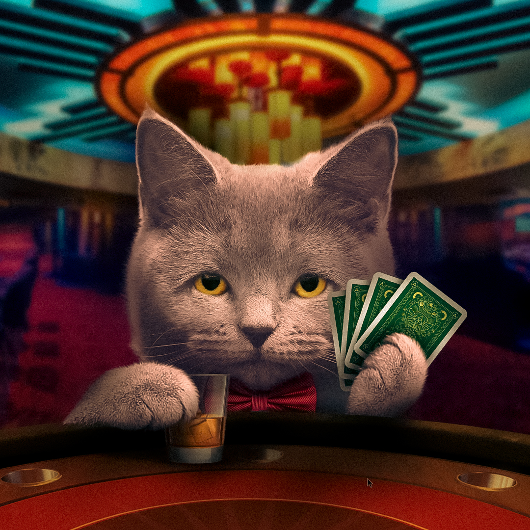 Poker #016