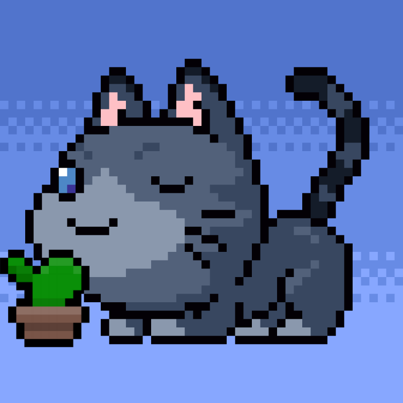 Catxoxo #2214