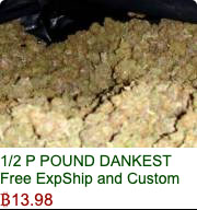 Silk Road Not Dead #254