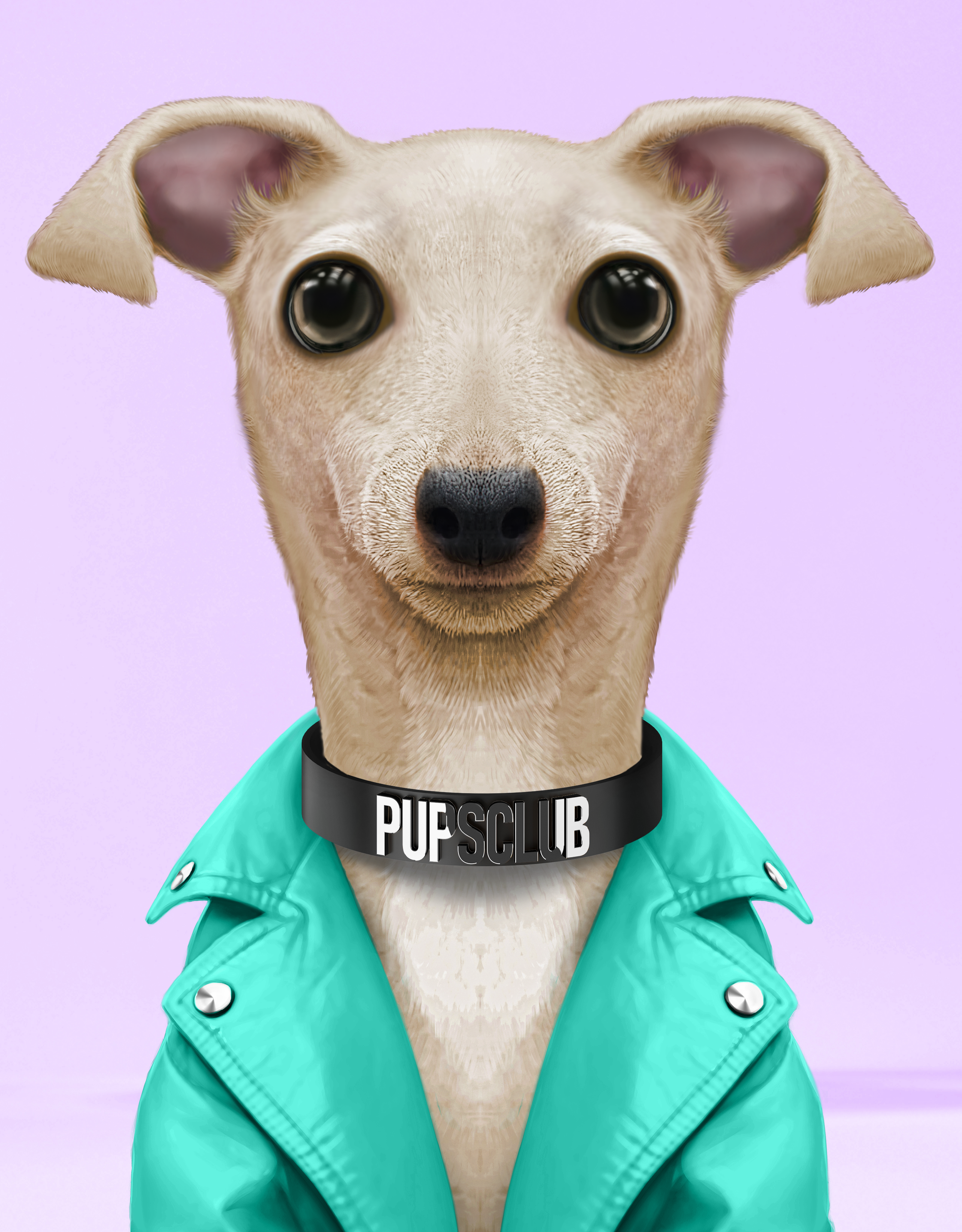 Pup #7485