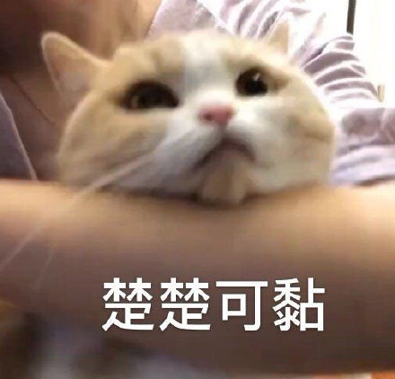 sss44