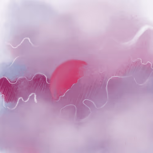 pink sunrise 
