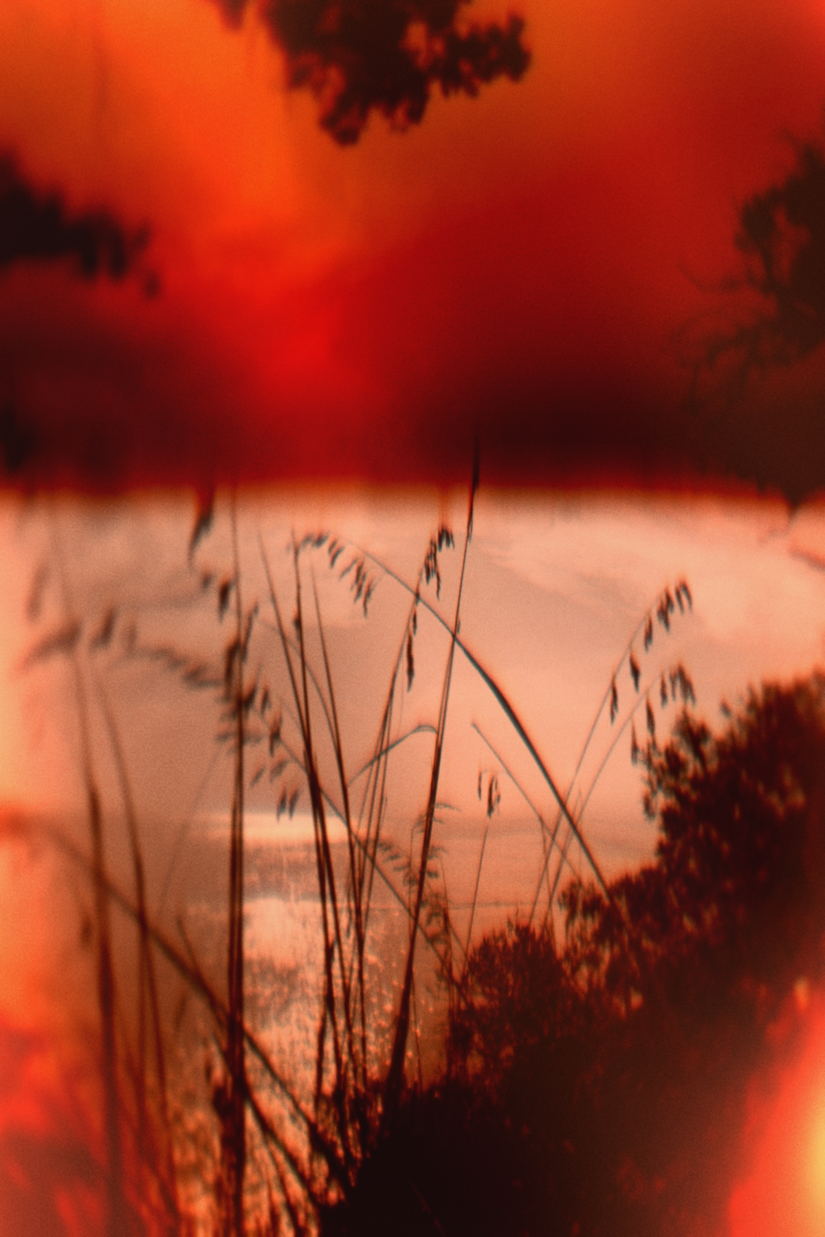 Diaries #27