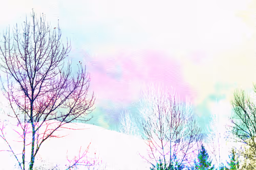 Illuminated Dreams