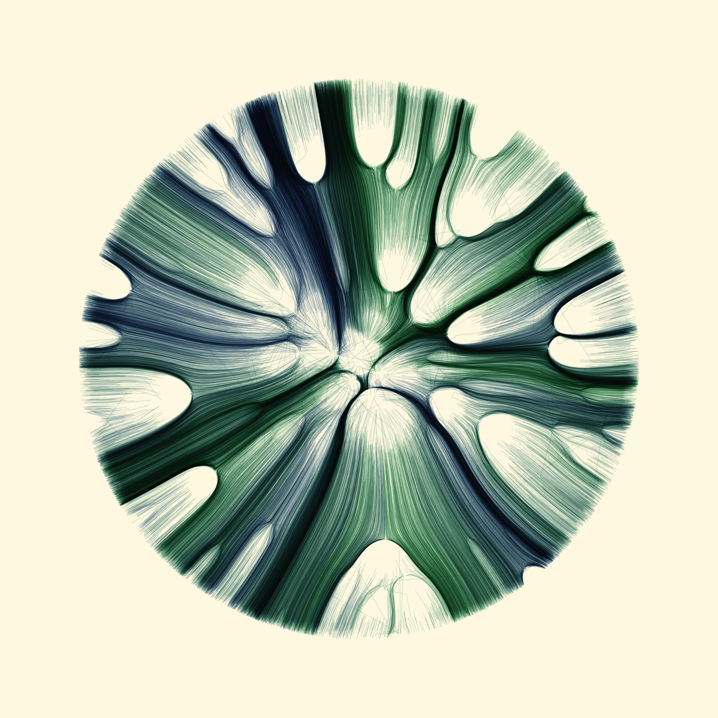 Gravity 12 #25
