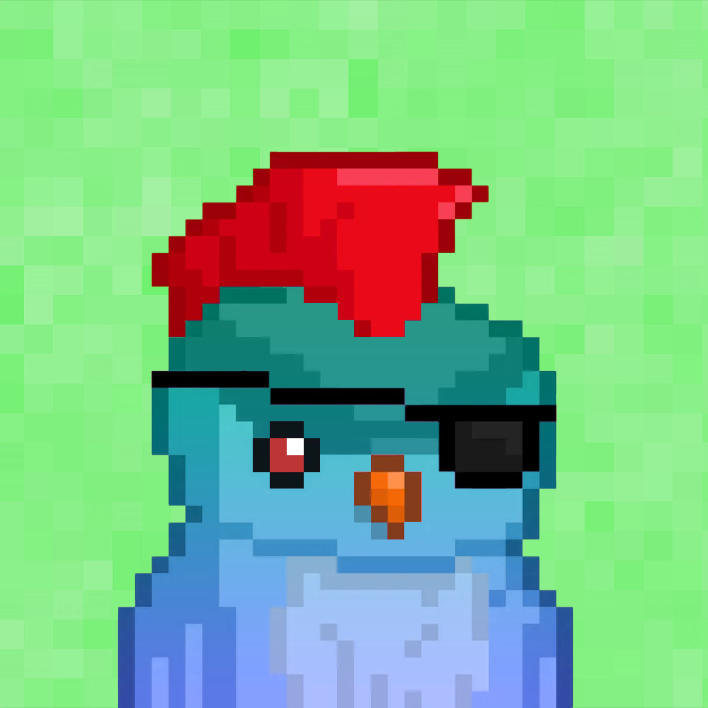 Birdz #2502