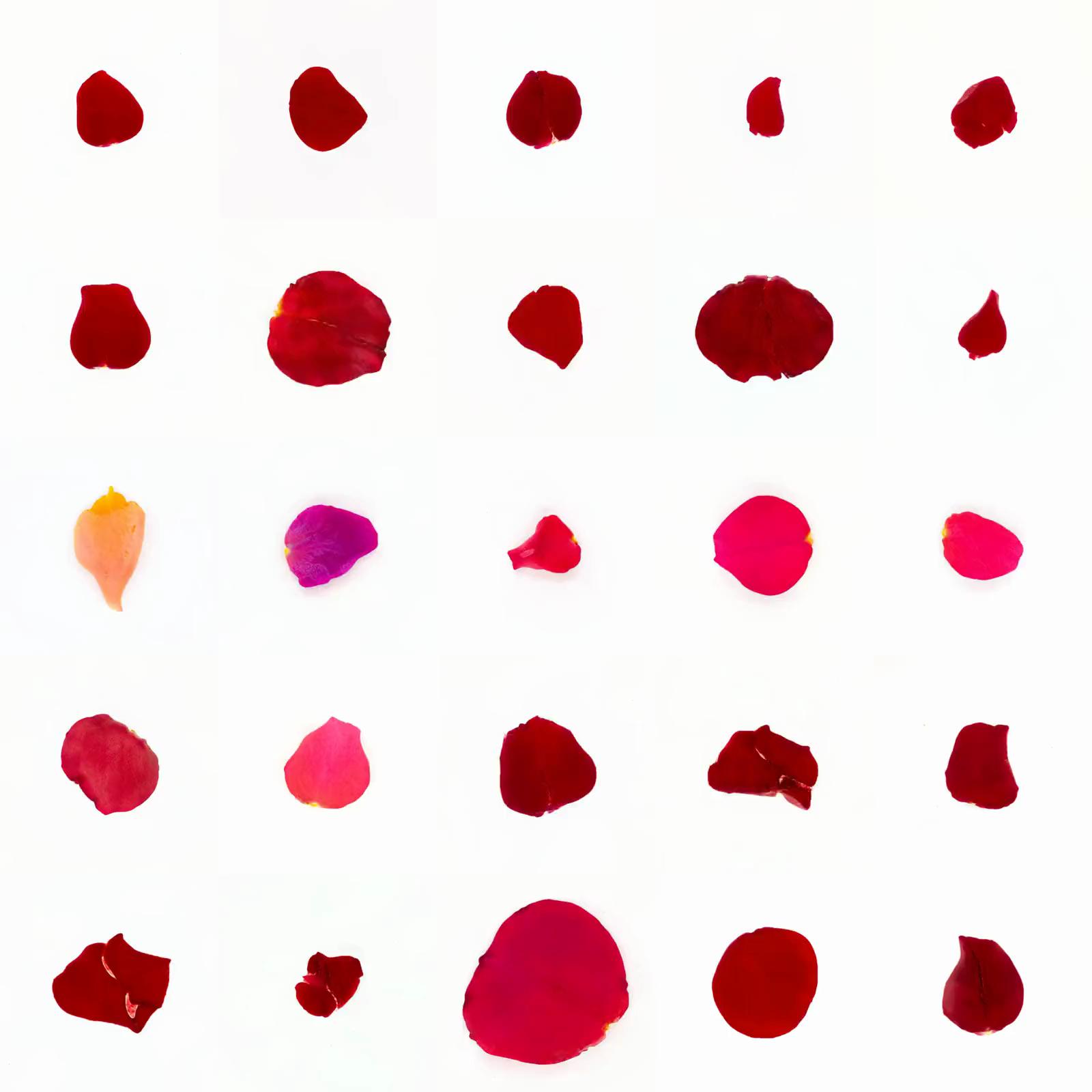 Infinite Petals 5x5#2776