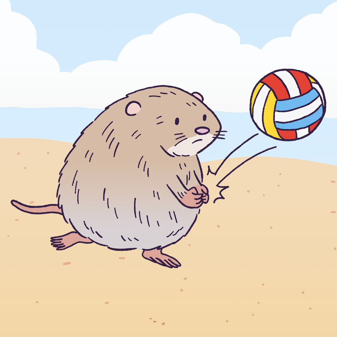 Voley Ball #1510