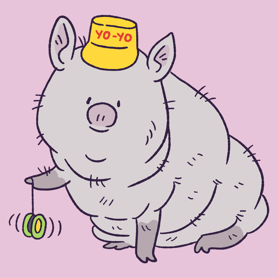 Guinea Hog #962