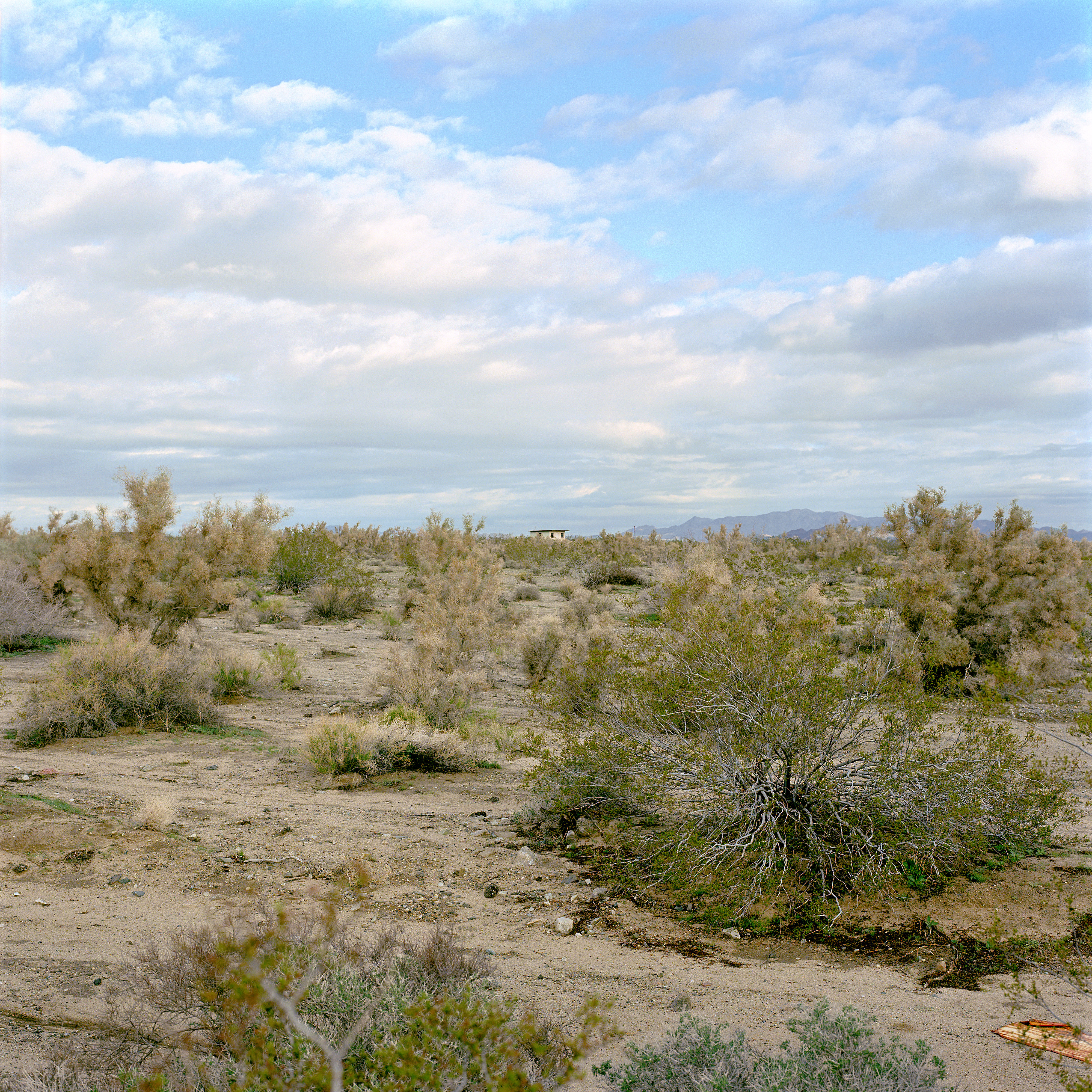N34°07.892’ W115°54.426’