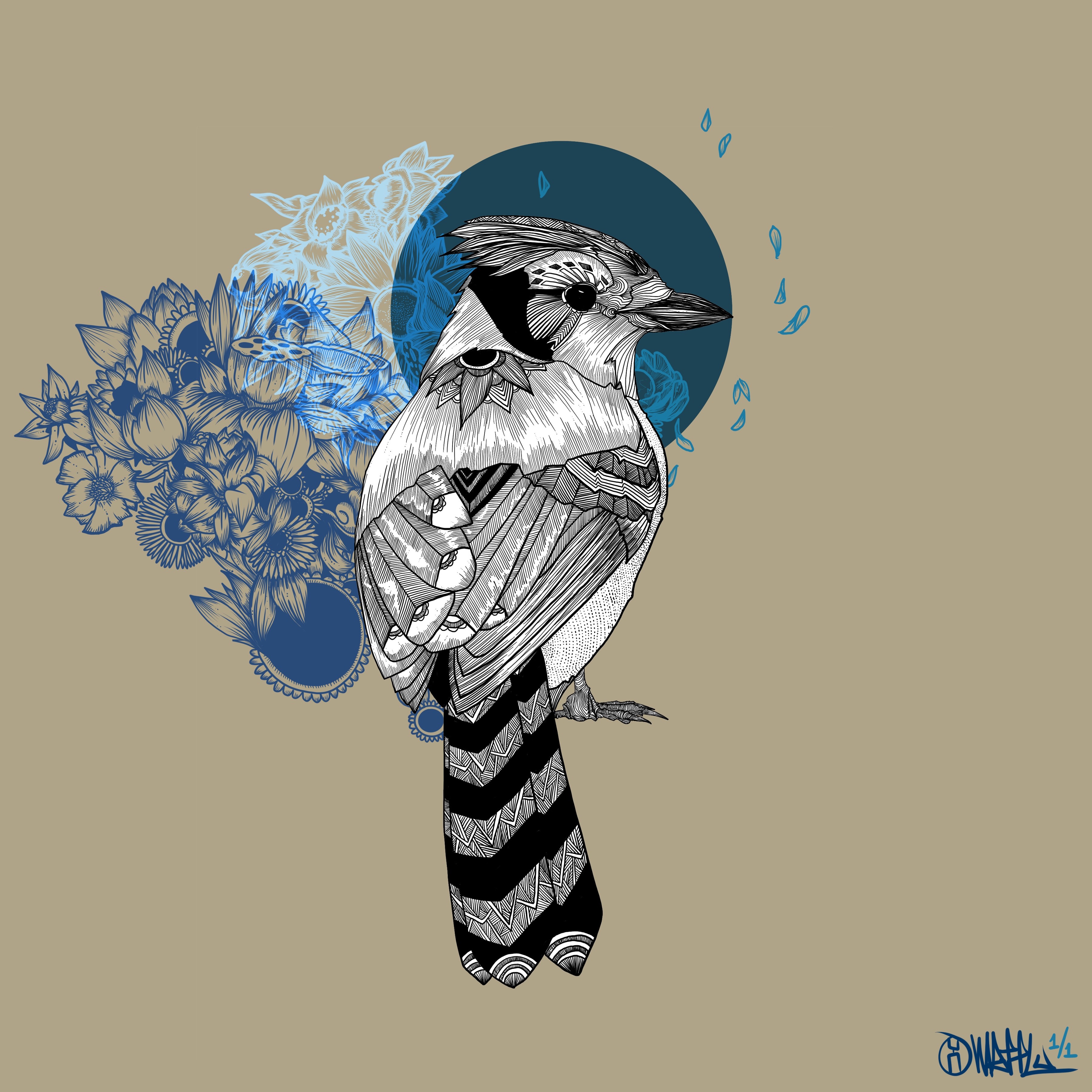 Three Little Birds - The Blue Jay 1 of 1