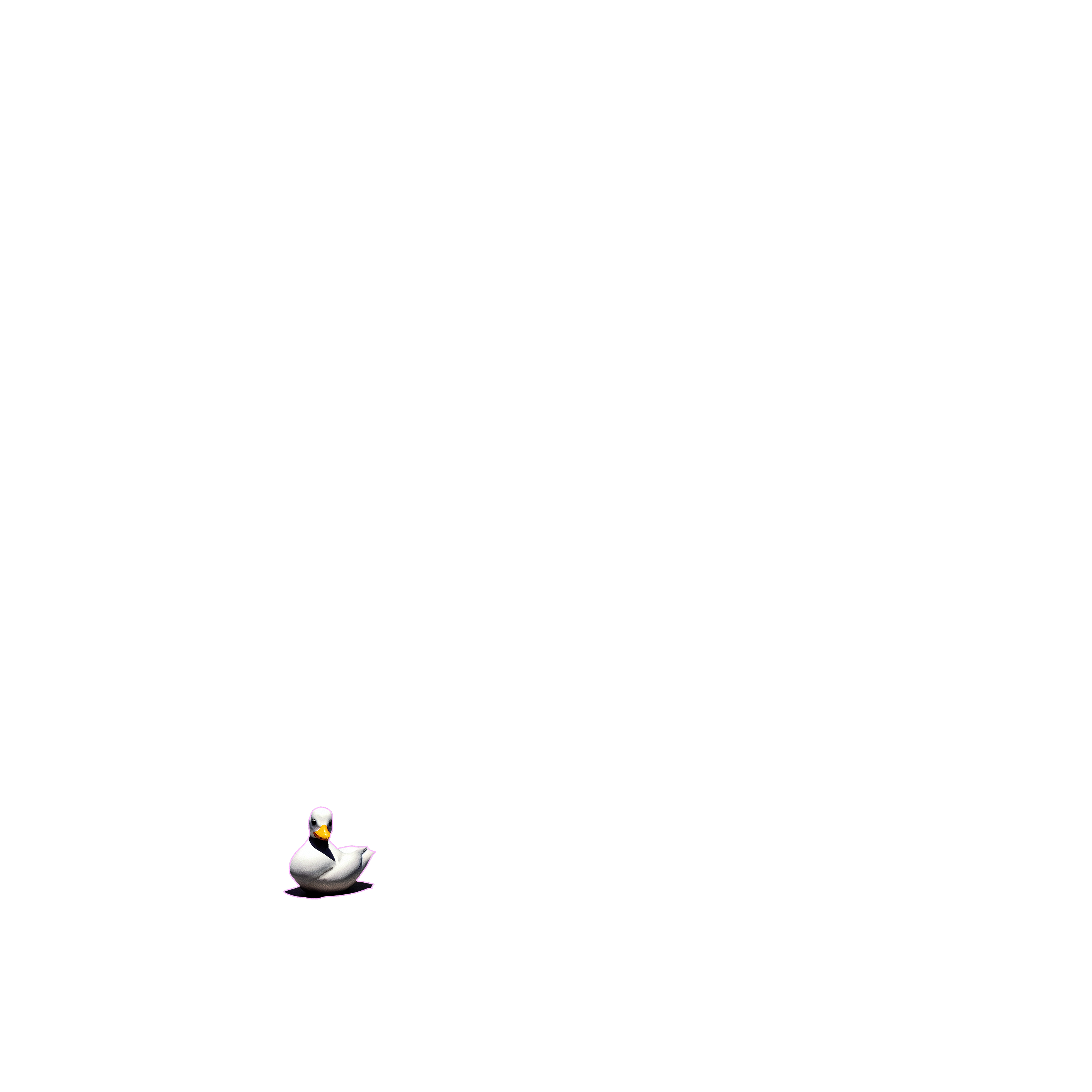Duck