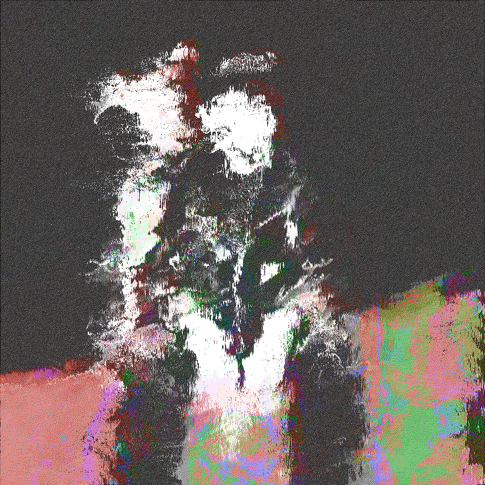 Afterimage