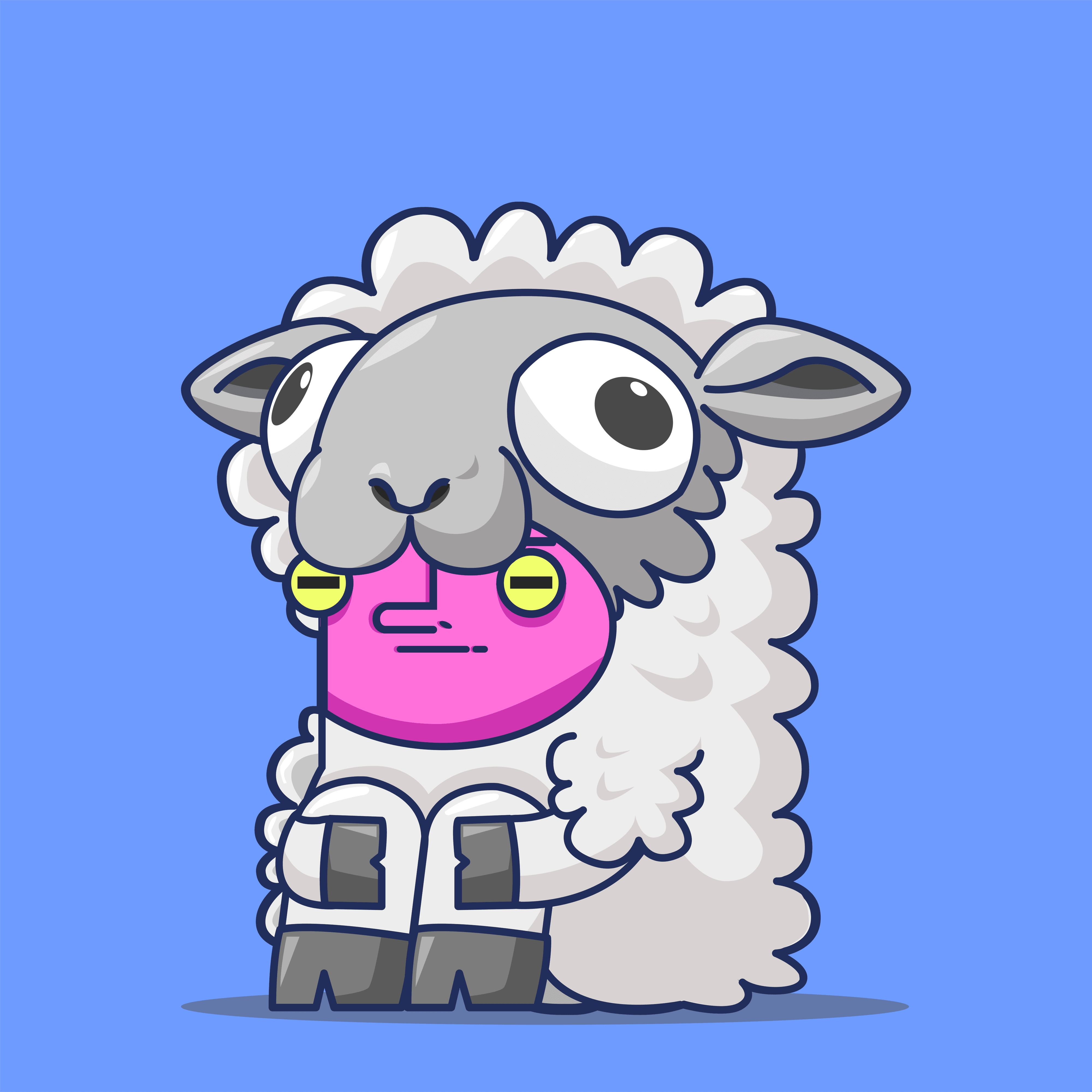 Sheep
