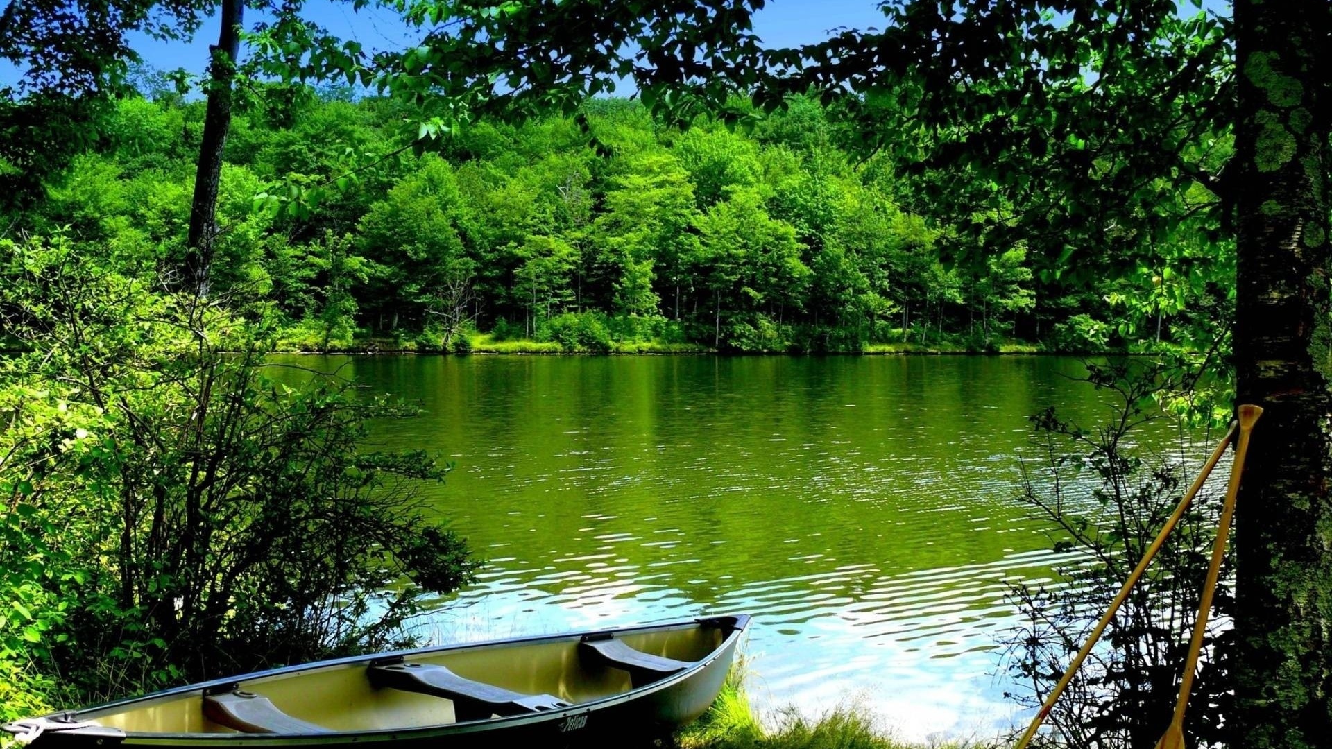 boats